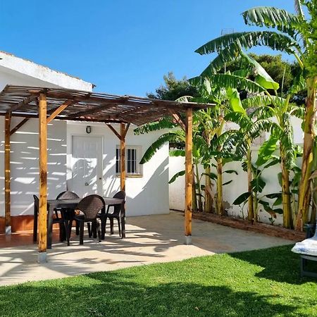 Apartamento Privado Con Jardin, Piscina Elevada Y Bbq Chiclana de la Frontera Exteriér fotografie